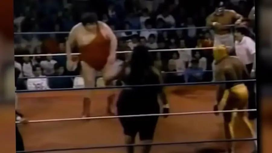 Andre the giant