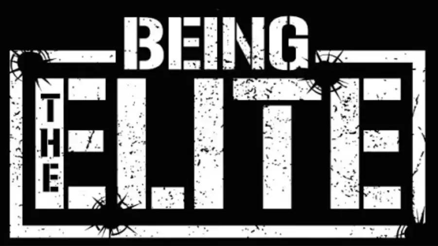 Being The Elite logo.jpg