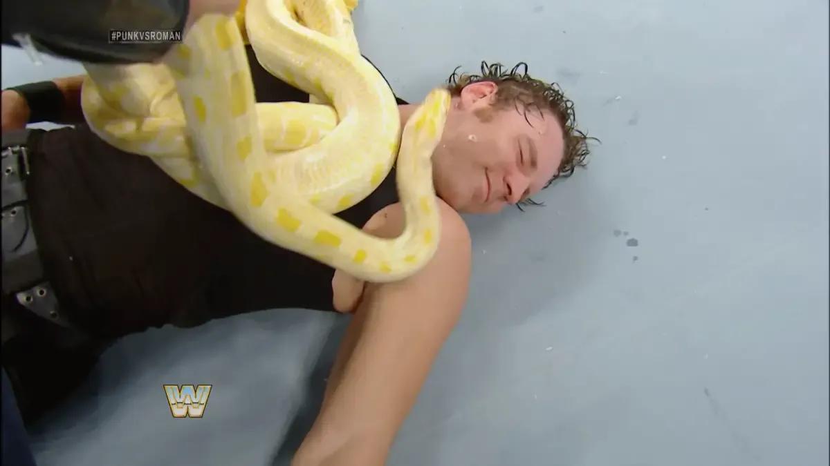 Dean ambrose snake