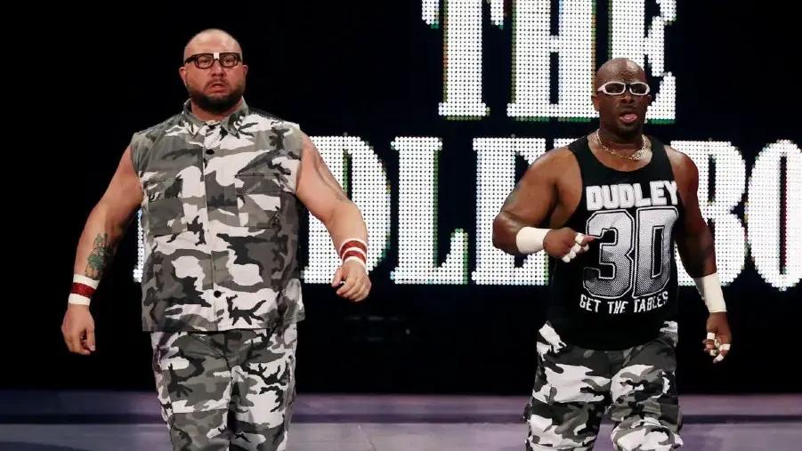 Dudley Boys WWE Return 2015.jpg