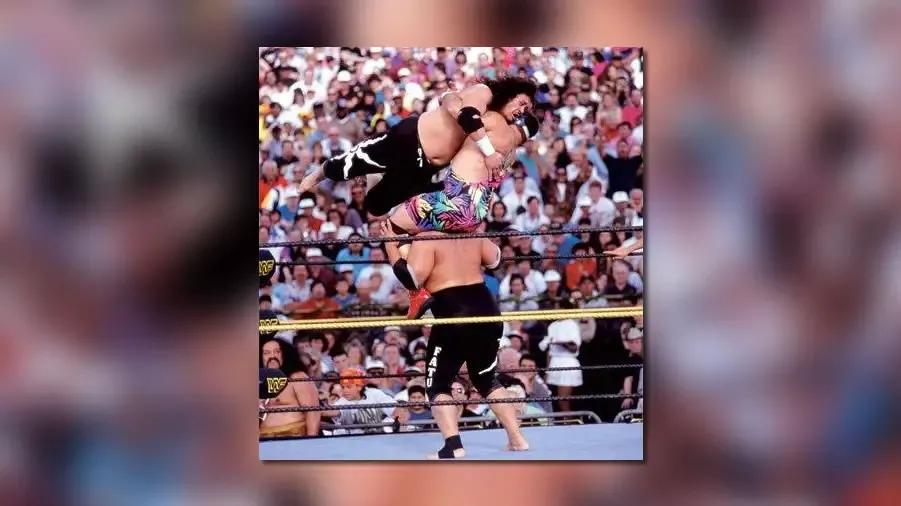 Headshrinkers steiner wrestlemania 9