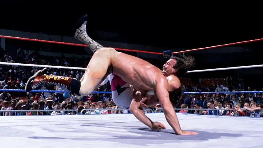 Jake Roberts DDT Rick Rude WWE.jpg