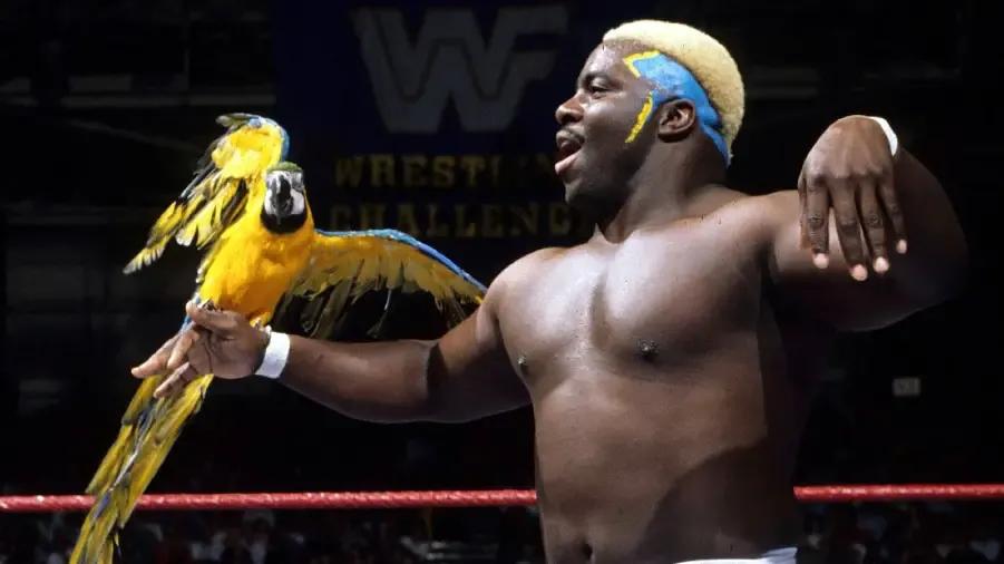 Koko b ware