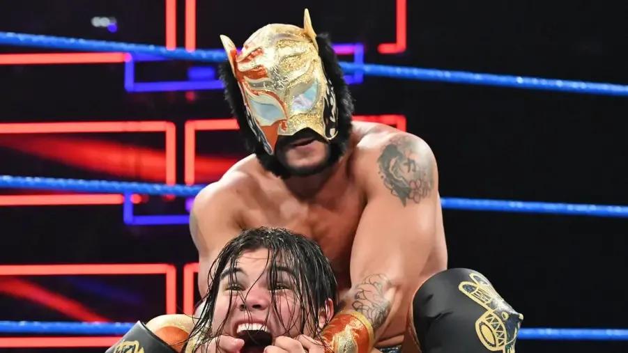 Lince Dorado 205 Live 2019.jpg