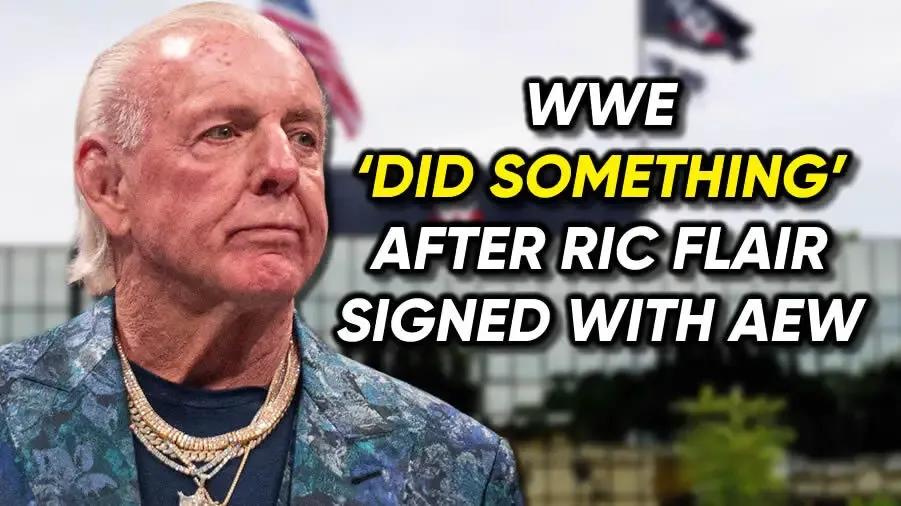 Ric Flair WWE did something graphic.jpg