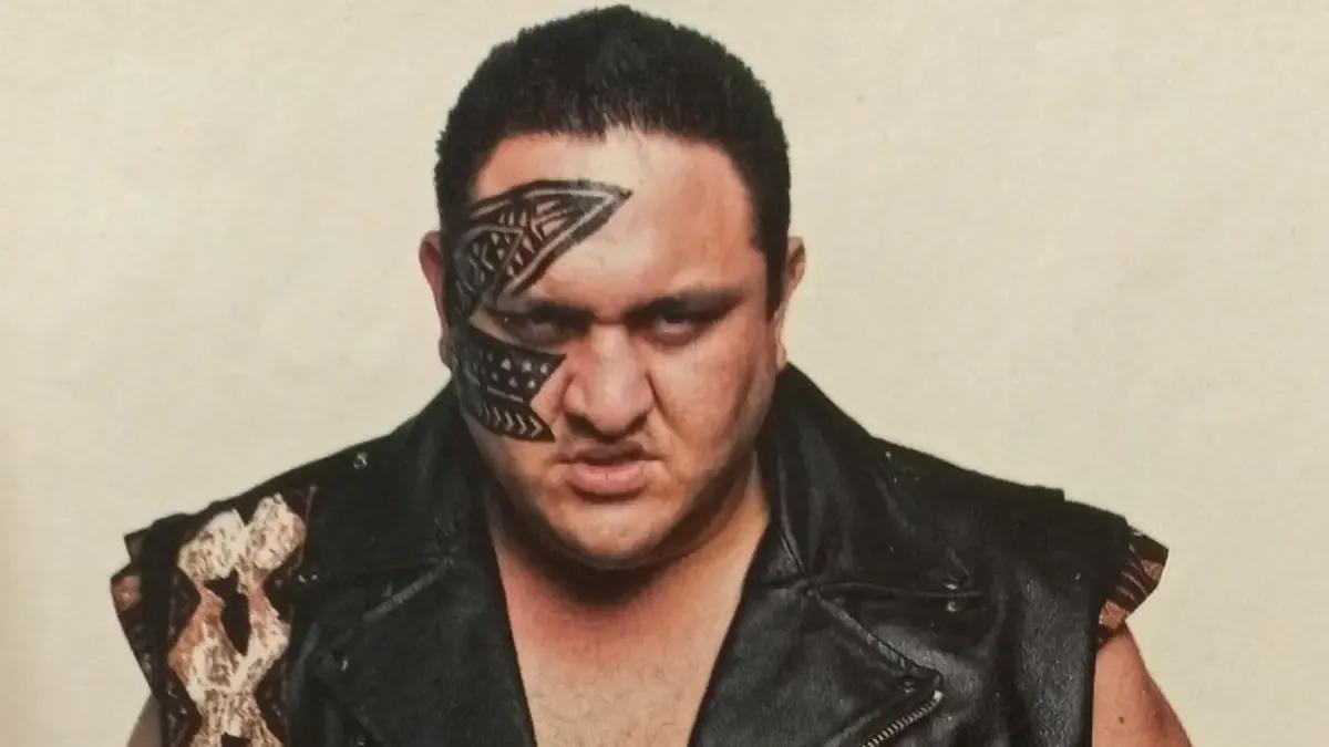 Samoa joe nation of violence