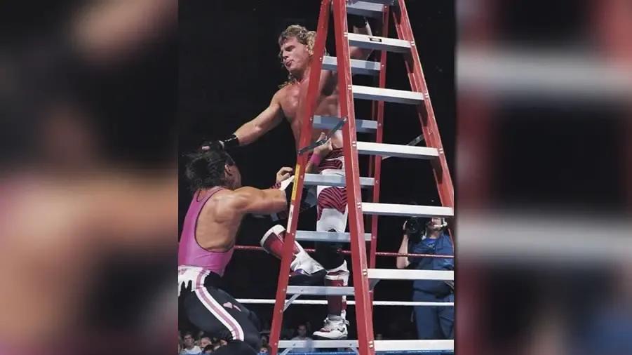 Shawn michaels bret hart ladder match