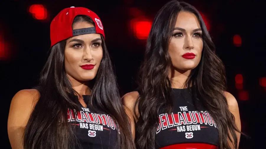 The Bella Twins WWE 2018.jpg