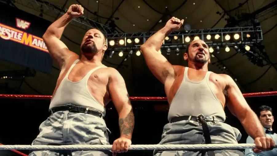 The bushwhackers wrestlemania 8 1