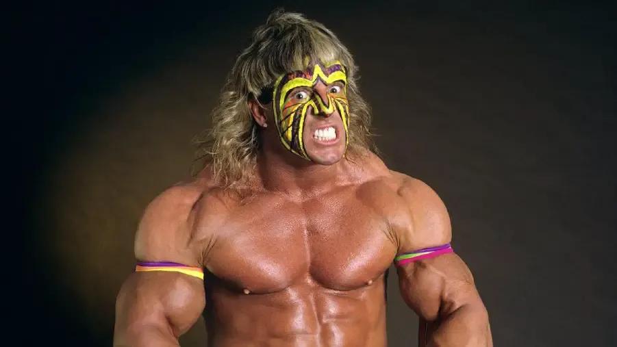 Ultimate warrior 1991