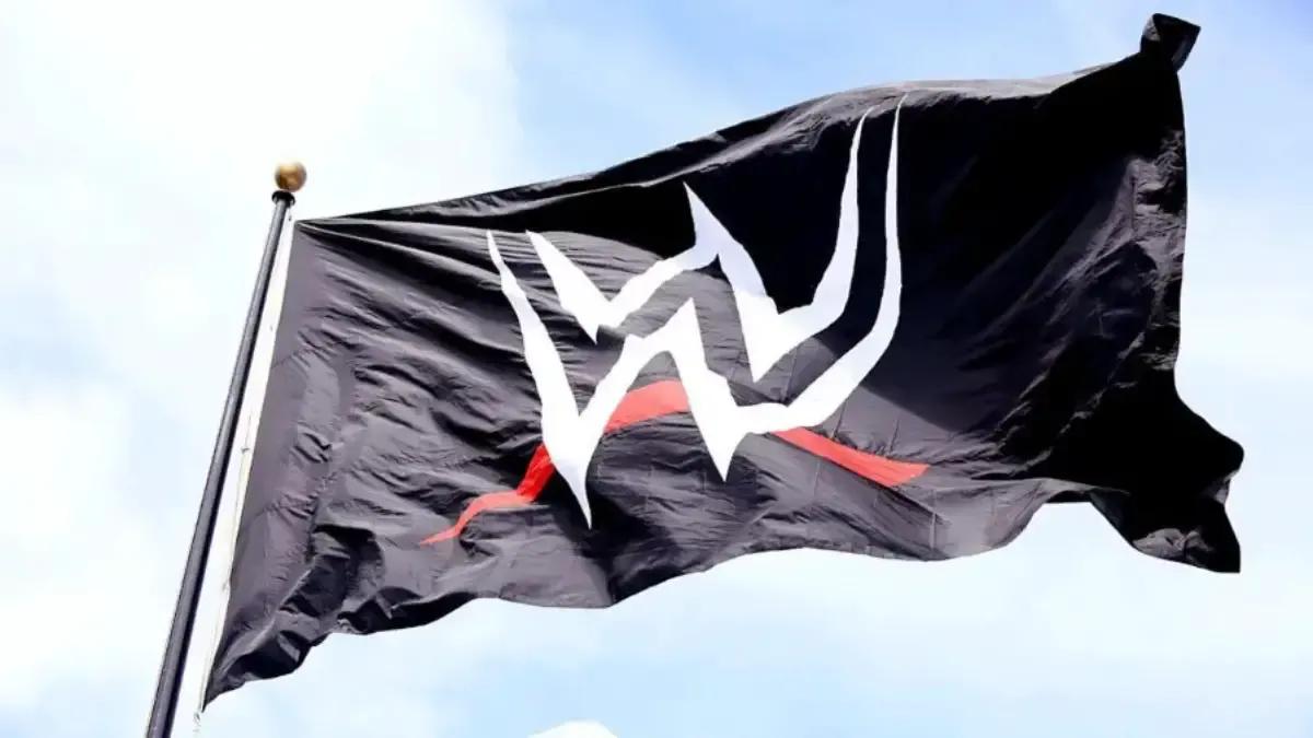 WWE Flag Logo 2014.jpg