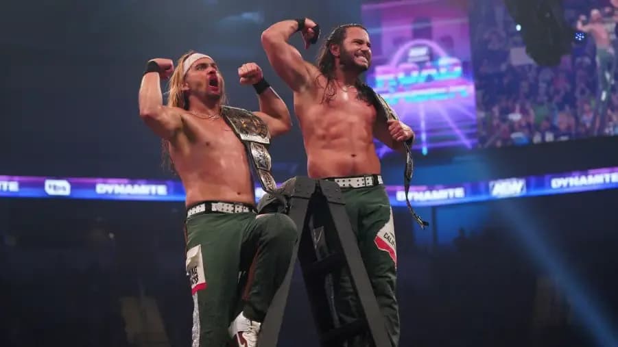 The Young Bucks Ladder AEW Road Rager.jpg