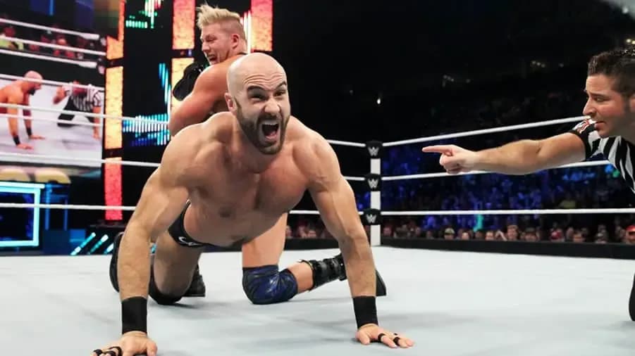 https://cultaholic.com/files/images/8cd8afdfc1397fc4ea869492cfa2dc2719d36279-swagger-cesaro-survivor-series-2014.jpg